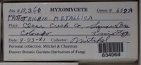 Image Associated With the Occurence